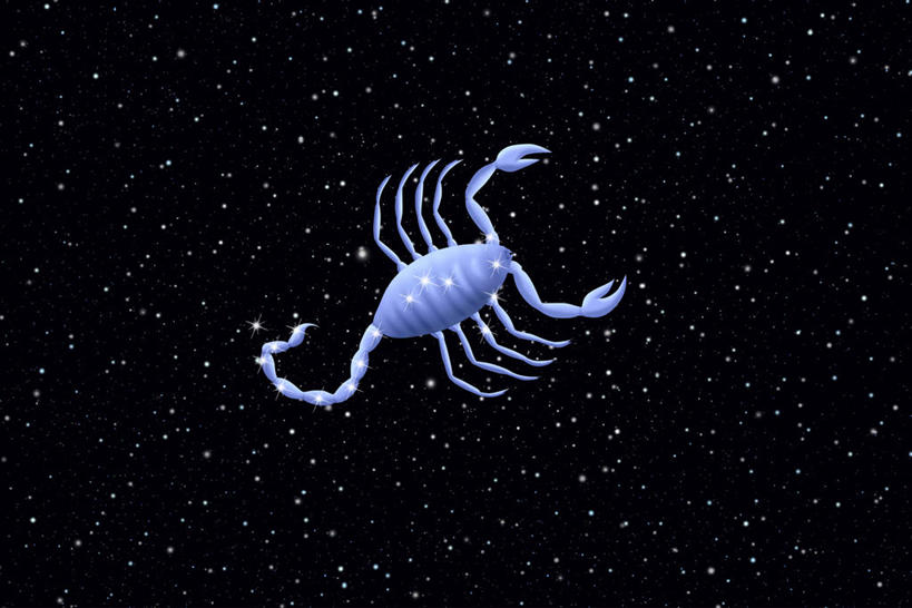 无人,横图,室内,夜晚,正面,探险,神秘,数码,宇宙,科技,阴影,科学,太空,网络,高光,几何,计算机图形,合成,一只,自然,动物,安静,探索,星座,发现,电脑合成图,数码合成图,天体,准确,有毒,合成图,占卜,节肢动物,蝎子,天文学,外太空,写实,具体,具象,孤傲,天蝎座,直觉,节足动物,彩图,全身