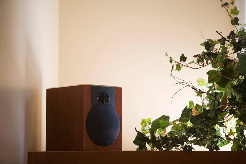 无人,横图,室内,白天,正面,机器,植物,叶子,阴影,反射,盆栽,影子,墙,绿叶,盆景,音响,设备,喇叭,墙壁,墙面,绿色,自然,嫩叶,生长,成长,扬声器,器件,叶,叶片,彩图,电声换能器