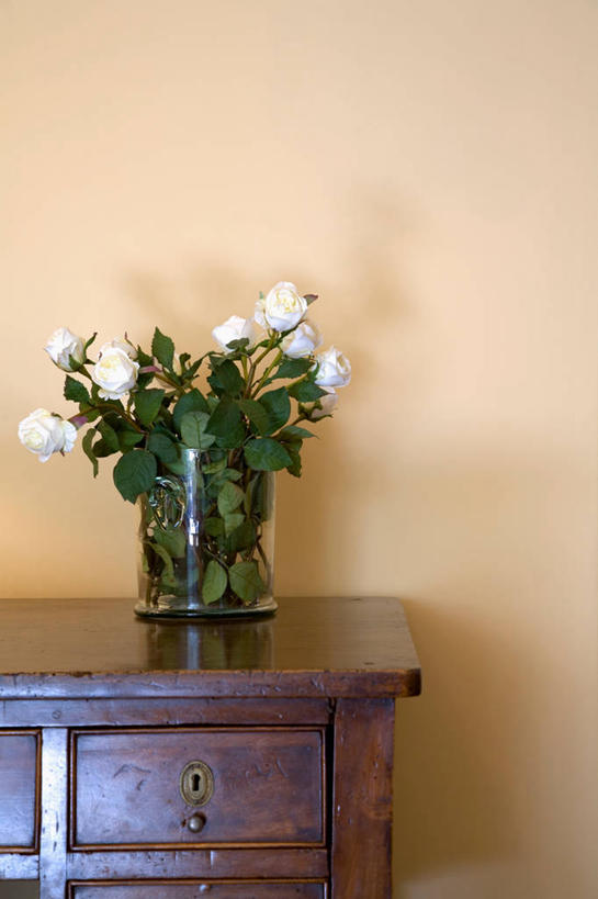 无人,竖图,室内,白天,正面,智慧,桌面,桌子,花瓶,阴影,艺术,盛开,反射,影子,墙,梳妆台,花蕾,文化,墙壁,墙面,玻璃制品,花,花瓣,花朵,鲜花,一个,插花,玻璃瓶,瓶子,花苞,花蕊,单个,化妆台,插花艺术,创造,创作,想象,彩图