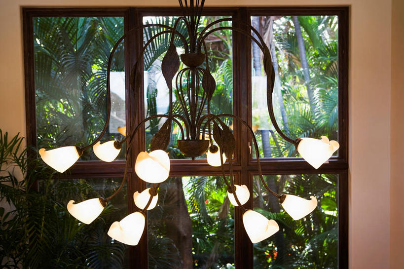 无人,横图,室内,白天,正面,时尚,植物,窗户,照明,阴影,反射,影子,墙,灯光,水晶,吊灯,水晶灯,玻璃窗,墙壁,墙面,灯,树,树木,绿色,自然,灯具,生长,成长,华丽,照亮,照明设备,高贵,水晶吊灯,水晶制品,富丽,华美,彩图,水晶石