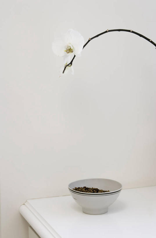 无人,竖图,室内,白天,正面,一堆,许多,阴影,堆叠,堆积,盛开,反射,影子,陶瓷,墙,食品,陶瓷制品,很多,营养,花蕾,墙壁,墙面,花,花瓣,花朵,鲜花,食物,一朵,白色,容器,碗,花苞,花蕊,储藏,堆,猫粮,储存,饲料,猫食,彩图,贮存