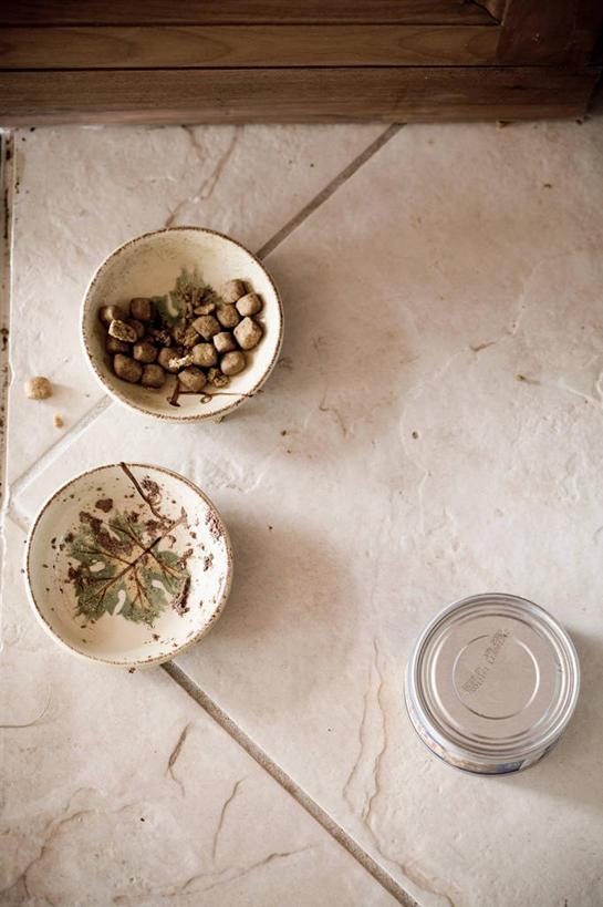 无人,竖图,俯视,室内,白天,一堆,许多,阴影,堆叠,堆积,装饰,反射,瓷砖,地砖,伞,影子,纸伞,食品,地面,很多,营养,食物,三个,堆,华丽,修饰,点缀,猫粮,饲料,小伞,衬托,美观,雅致,雅观,猫食,鸡尾酒伞,酒杯伞,伞签,彩图,高角度拍摄