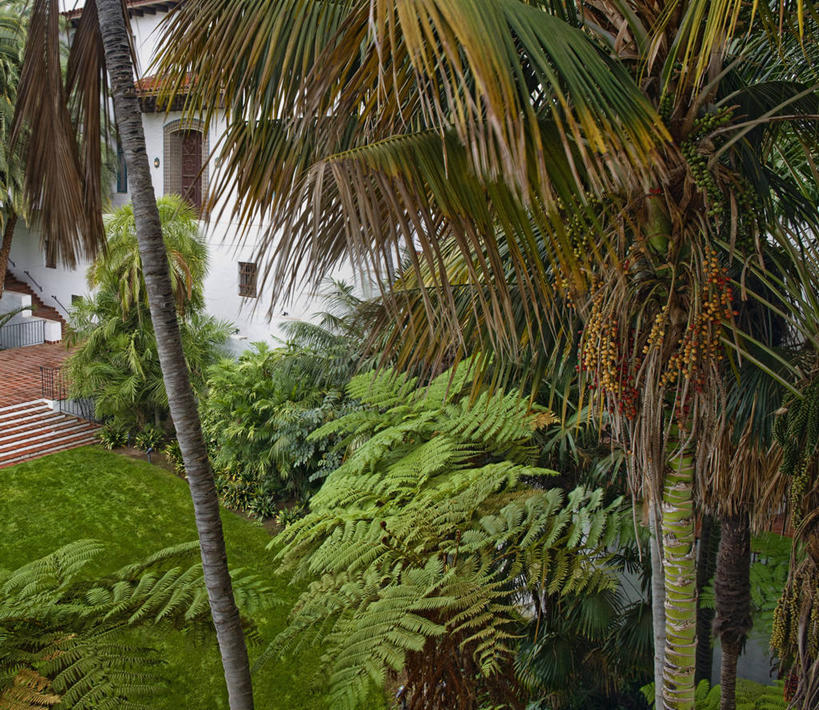 无人,家,横图,室外,白天,正面,旅游,度假,美景,植物,椰树,叶子,美国,阴影,光线,影子,房屋,墙,屋子,景观,绿叶,娱乐,楼房,墙壁,墙面,住宅,树,树木,绿色,白色,阳光,自然,享受,休闲,嫩叶,景色,放松,生长,成长,北美,北美洲,加利福尼亚,自然风光,美洲,加州,加利福尼亚州,金州,黄金州,北亚美利加洲,亚美利加洲,圣巴巴拉,圣塔巴巴拉,圣塔芭芭拉市,叶,叶片,棕榈,椰子树,彩图,房子,美利坚合众国