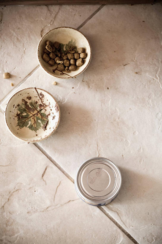 无人,竖图,俯视,室内,白天,一堆,许多,阴影,堆叠,堆积,装饰,反射,瓷砖,地砖,伞,影子,纸伞,食品,地面,很多,营养,食物,三个,堆,华丽,修饰,点缀,猫粮,饲料,小伞,衬托,美观,雅致,雅观,猫食,鸡尾酒伞,酒杯伞,伞签,彩图,高角度拍摄