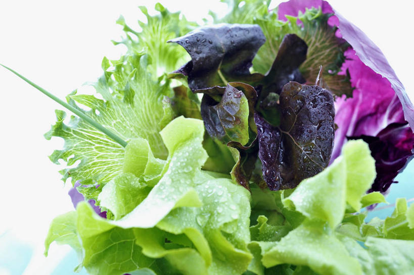 无人,横图,俯视,室内,特写,白天,植物,桌面,桌子,蔬菜,许多,阴影,新鲜,反射,木制,影子,葱,菊苣,生菜,莴苣,食品,草药,药草,中药,食物,绿色,自然,木制品,摄影,有机食品,绿色食品,影棚,生长,成长,细香葱,香葱,药材,中草药,中药材,本草,春菜,鹅仔菜,莴仔菜,千金菜,叶用莴苣,奶油生菜,彩图,高角度拍摄,影棚拍摄,拍摄