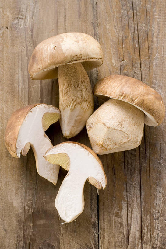 无人,竖图,俯视,室内,特写,白天,餐桌,桌子,蔬菜,切开,阴影,新鲜,反射,木制,影子,菌菇,蘑菇,食品,菌类,中药,食物,木制品,切,四个,食用菌,有机食品,绿色食品,餐台,药材,剖面,切面,牛肝菌,中药材,美味牛肝菌,大脚菇,彩图,高角度拍摄