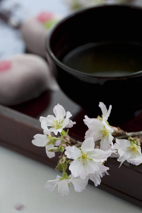 点心,无人,竖图,俯视,室内,特写,白天,下午茶,幸福,纯洁,餐桌,桌子,樱花,阴影,朦胧,模糊,盛开,反射,影子,陶瓷,谷类,谷物,食品,糯米,甜点,甜品,陶瓷制品,米,花蕾,大米,花,花瓣,花朵,鲜花,食物,糕点,一个,容器,碗,甜食,花苞,花蕊,单个,餐台,等待,储藏,生命,储存,糯米团,仙樱花,福岛樱,青肤樱,高尚,热烈,江米,荆桃,彩图,高角度拍摄,贮存
