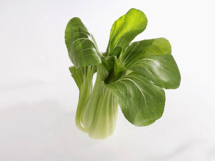 无人,横图,俯视,室内,特写,白天,白色背景,餐桌,桌子,蔬菜,阴影,新鲜,反射,影子,青菜,食品,食物,一个,摄影,有机食品,绿色食品,影棚,单个,餐台,小白菜,不结球白菜,彩图,高角度拍摄,影棚拍摄,拍摄