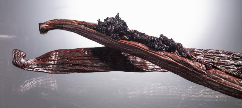 无人,横图,俯视,室内,特写,白天,植物,桌面,桌子,阴影,灰色背景,反射,木制,影子,草药,药草,中药,木制品,清热,摄影,影棚,药材,中草药,香草兰,中药材,本草,解毒,婆绒花,山薄荷,石母草,彩图,高角度拍摄,影棚拍摄,拍摄