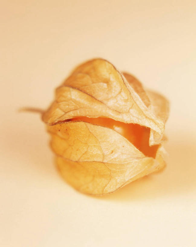 无人,竖图,俯视,室内,特写,白天,餐桌,桌子,浆果,水果,阴影,黄色背景,新鲜,反射,影子,灯笼果,生食,食品,果实,食物,一个,摄影,有机食品,绿色食品,影棚,单个,餐台,秘鲁苦蘵,小果酸浆,醋栗,彩图,高角度拍摄,影棚拍摄,拍摄