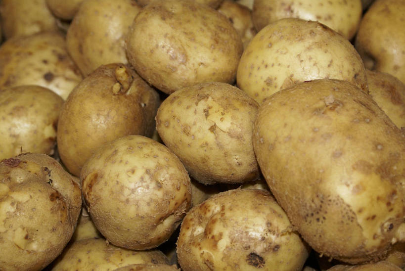 无人,横图,俯视,室内,特写,白天,蔬菜,土豆,一堆,许多,堆叠,堆积,新鲜,食品,很多,食物,黄色,有机食品,绿色食品,堆,馍馍蛋,洋芋,山药蛋,马铃薯,彩图,高角度拍摄