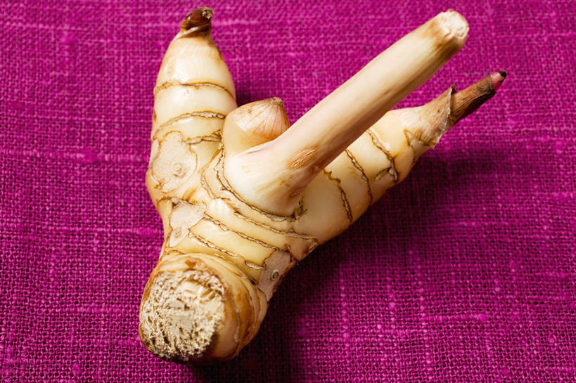 无人,横图,俯视,室内,特写,白天,植物,餐桌,桌子,阴影,紫色背景,反射,影子,草药,药草,中药,一个,摄影,影棚,单个,餐台,药材,中草药,高良姜,中药材,本草,风姜,枫姜,高凉姜,良姜,蛮姜,小良姜,彩图,高角度拍摄,影棚拍摄,拍摄