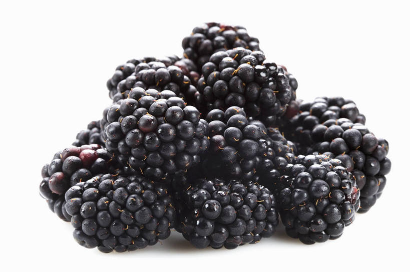 无人,横图,俯视,室内,特写,白天,白色背景,餐桌,桌子,黑莓,水果,一堆,许多,阴影,堆叠,堆积,新鲜,反射,影子,生食,食品,果实,食物,黑色,摄影,有机食品,绿色食品,影棚,餐台,堆,露莓,彩图,高角度拍摄,影棚拍摄,拍摄