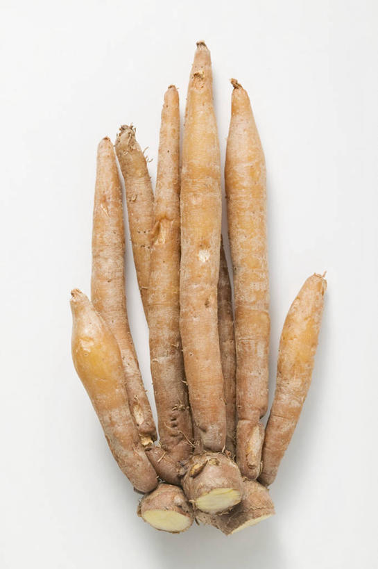 无人,竖图,俯视,室内,特写,白天,白色背景,植物,餐桌,桌子,阴影,反射,影子,草药,药草,中药,摄影,影棚,餐台,药材,中草药,高良姜,中药材,本草,风姜,枫姜,高凉姜,良姜,蛮姜,小良姜,彩图,高角度拍摄,影棚拍摄,拍摄