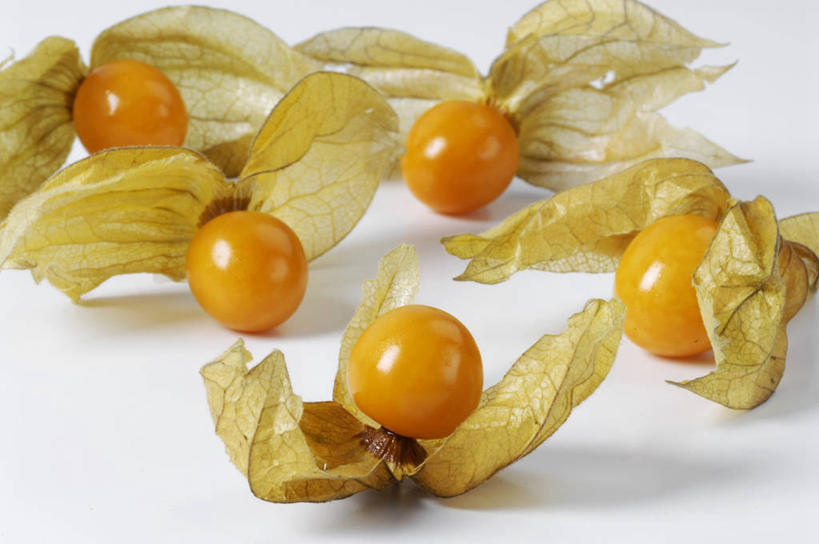 无人,横图,俯视,室内,特写,白天,白色背景,浆果,水果,叶子,五个,许多,阴影,新鲜,反射,影子,灯笼果,生食,食品,果实,绿叶,食物,橙色,嫩叶,摄影,有机食品,绿色食品,影棚,秘鲁苦蘵,小果酸浆,叶,叶片,醋栗,彩图,高角度拍摄,影棚拍摄,拍摄