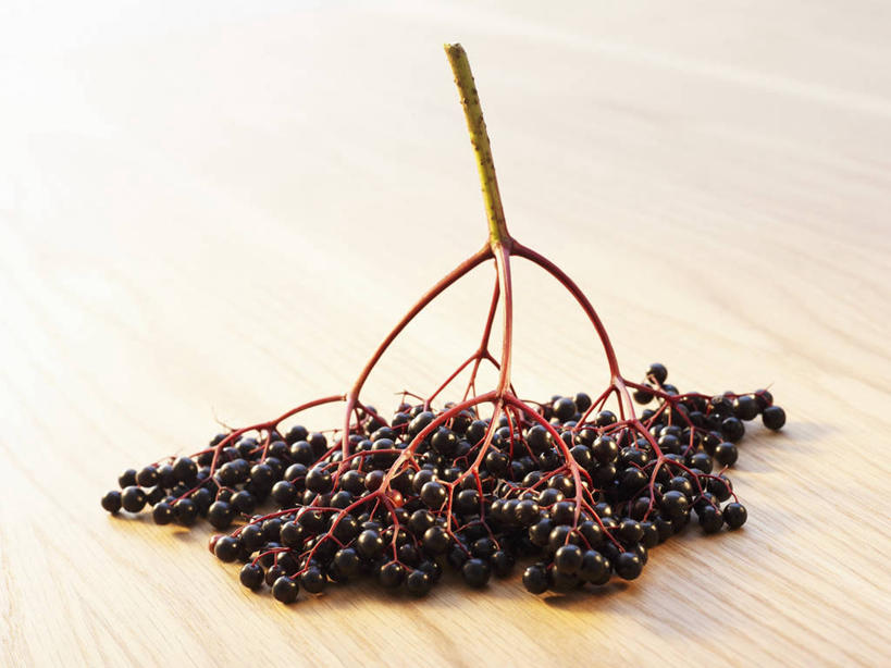 无人,横图,俯视,室内,特写,白天,植物,桌面,桌子,阴影,反射,木制,影子,草药,药草,中药,木制品,药材,中草药,接骨木,中药材,本草,草珊瑚,接骨金粟兰,九节茶,九节风,九节花,肿节风,竹节茶,彩图,高角度拍摄