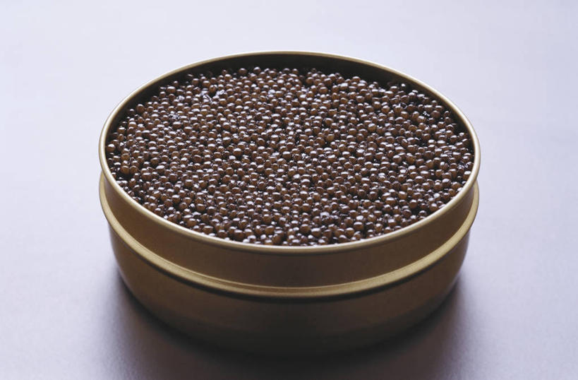 鱼子酱,无人,横图,俯视,室内,特写,白天,白色背景,许多,阴影,反射,罐头,罐子,影子,调料,酱料,酱汁,佐料,棕色,调味品,调味料,酱,一个,摄影,影棚,单个,罐头食品,彩图,高角度拍摄,影棚拍摄,拍摄