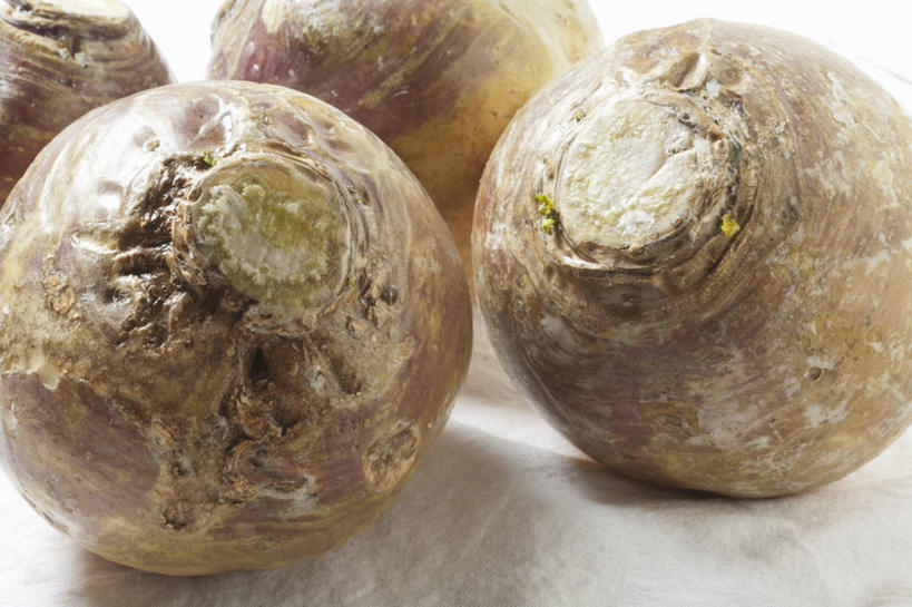 无人,横图,俯视,室内,特写,白天,白色背景,餐桌,桌子,蔬菜,阴影,新鲜,反射,影子,食品,芜菁,食物,四个,摄影,有机食品,绿色食品,影棚,餐台,蔓菁,盘菜,大头芥,彩图,高角度拍摄,影棚拍摄,拍摄