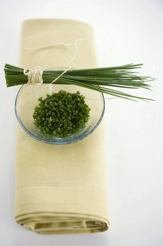 无人,竖图,俯视,室内,特写,白天,白色背景,植物,餐桌,桌子,蔬菜,玻璃,阴影,新鲜,反射,布料,影子,葱,食品,草药,药草,布纹,中药,玻璃制品,桌布,食物,一个,绿色,自然,餐巾,容器,台布,碗,摄影,有机食品,绿色食品,影棚,生长,单个,成长,餐台,储藏,细香葱,香葱,储存,药材,中草药,中药材,本草,彩图,高角度拍摄,影棚拍摄,拍摄,贮存