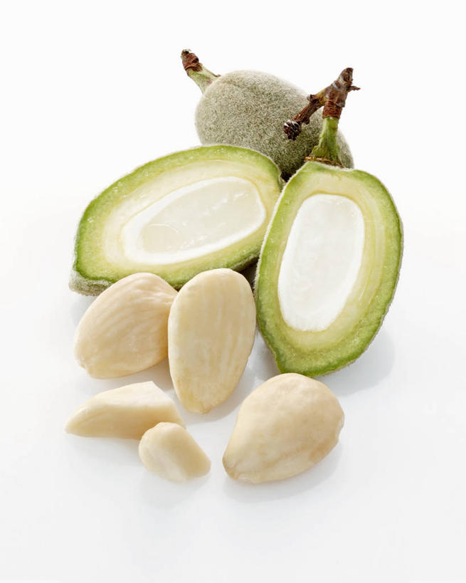 无人,竖图,俯视,室内,特写,白天,白色背景,桌面,桌子,杏仁,阴影,反射,木制,影子,木制品,摄影,影棚,杏子,杏梅仁,杏核仁,木落子,苦杏仁,彩图,高角度拍摄,影棚拍摄,拍摄