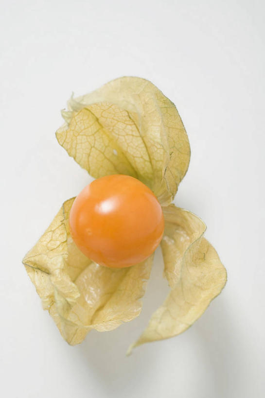 无人,竖图,俯视,室内,特写,白天,白色背景,餐桌,桌子,浆果,水果,阴影,新鲜,反射,影子,灯笼果,生食,食品,果实,食物,一个,橙色,摄影,有机食品,绿色食品,影棚,单个,餐台,秘鲁苦蘵,小果酸浆,醋栗,彩图,高角度拍摄,影棚拍摄,拍摄