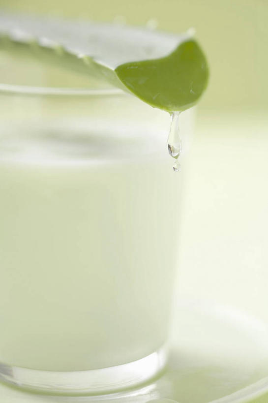 牛奶,无人,竖图,俯视,室内,特写,白天,芦荟,杯子,阴影,朦胧,模糊,反射,影子,饮品,一杯,营养,酸奶,玻璃制品,饮料,水杯,摄影,影棚,乳制品,奶,发酵,优格,优酪乳,罗帷草,讷会,奴会,象鼻莲,象胆,玻璃杯,彩图,高角度拍摄,影棚拍摄,拍摄,油葱