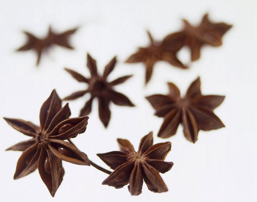 无人,横图,俯视,室内,特写,白天,白色背景,一堆,许多,阴影,堆叠,堆积,朦胧,模糊,反射,影子,调味,香料,佐料,棕色,茴香,摄影,影棚,堆,八角,八角茴香,大茴香,八月珠,舶茴香,大料,作料,彩图,高角度拍摄,影棚拍摄,拍摄