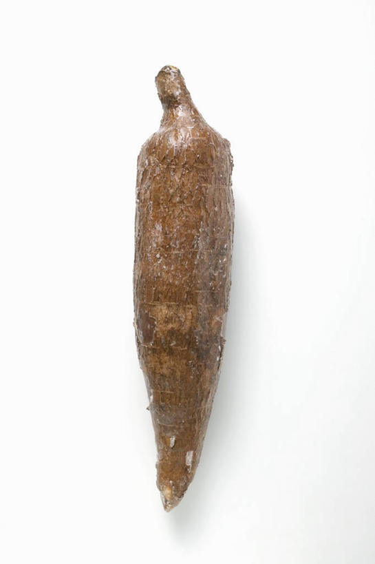 无人,竖图,俯视,室内,特写,白天,白色背景,农作物,餐桌,桌子,蔬菜,阴影,新鲜,反射,影子,食品,食物,一个,摄影,有机食品,绿色食品,影棚,单个,餐台,木薯,树薯,木番薯,树番薯,彩图,高角度拍摄,影棚拍摄,拍摄