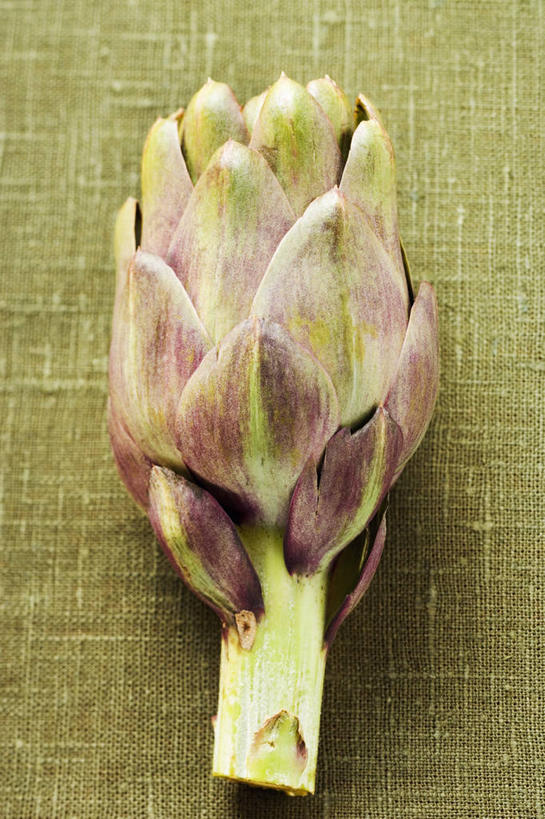 无人,竖图,俯视,室内,特写,白天,餐桌,桌子,蔬菜,阴影,新鲜,反射,布料,影子,朝鲜蓟,食品,布纹,桌布,食物,一个,绿色,餐巾,台布,洋蓟,摄影,有机食品,绿色食品,影棚,单个,餐台,彩图,高角度拍摄,影棚拍摄,拍摄,菜蓟,法国百合,球洋蓟,蔬菜之皇,洋百合