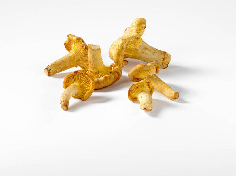 无人,横图,俯视,室内,特写,白天,白色背景,桌面,桌子,蔬菜,阴影,新鲜,反射,木制,影子,菌菇,食品,菌类,食物,木制品,食用菌,摄影,有机食品,绿色食品,影棚,鸡油菌,杏黄菌,杏菌,彩图,高角度拍摄,影棚拍摄,拍摄