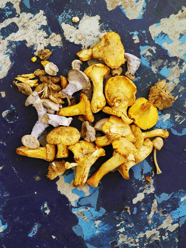 无人,竖图,俯视,室内,特写,白天,桌面,桌子,蔬菜,餐具,阴影,新鲜,反射,木制,碟子,盘,影子,菌菇,食品,菌类,食物,蓝色,盘子,木制品,碟,食用菌,有机食品,绿色食品,鸡油菌,杏黄菌,杏菌,彩图,高角度拍摄