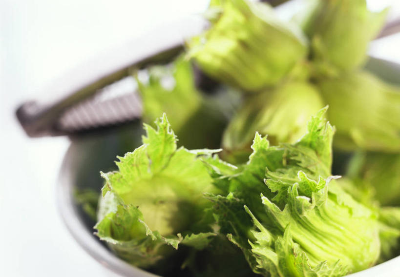 无人,横图,俯视,室内,特写,白天,白色背景,一把,阴影,反射,影子,陶瓷,坚果,果实,陶瓷制品,一个,绿色,夹子,容器,碗,干果,摄影,影棚,单个,储藏,储存,榛子,食品夹,食物夹,面包夹,意粉夹,山板栗,彩图,高角度拍摄,影棚拍摄,拍摄,贮存