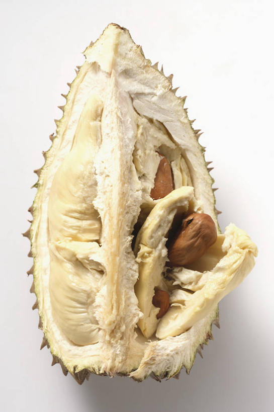 无人,竖图,俯视,室内,特写,白天,白色背景,餐桌,桌子,水果,阴影,新鲜,反射,影子,生食,食品,果实,榴莲,食物,一个,摄影,有机食品,绿色食品,影棚,单个,餐台,麝香猫果,水果之王,彩图,高角度拍摄,影棚拍摄,拍摄