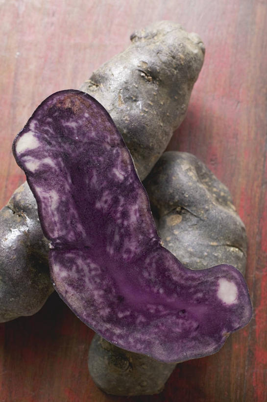 无人,竖图,俯视,室内,特写,白天,桌面,桌子,蔬菜,切开,阴影,新鲜,反射,木制,影子,食品,食物,三个,紫色,木制品,切,有机食品,绿色食品,紫薯,剖面,切面,黑薯,紫红薯,山芋,甘薯,番薯,地瓜,彩图,高角度拍摄