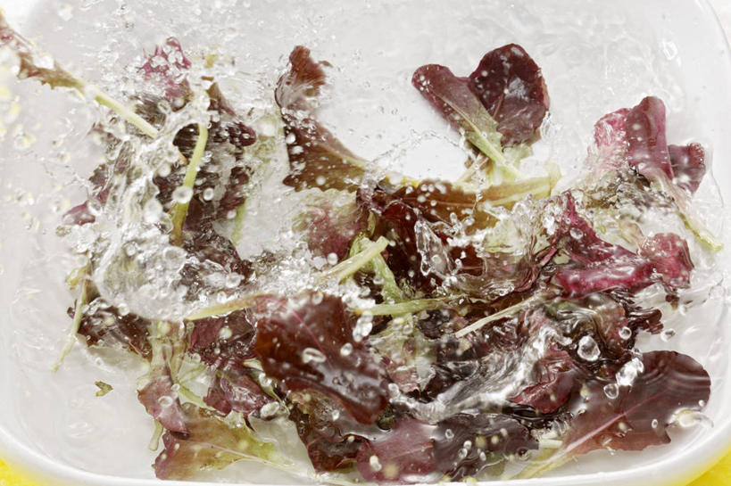 无人,横图,俯视,室内,特写,白天,桌面,桌子,蔬菜,阴影,飞溅,新鲜,溅,反射,木制,液体,影子,水滴,菊苣,生食,蔬菜沙拉,沙拉,食品,药草,色拉,沙律,水珠,食物,木制品,有机食品,绿色食品,色拉酱,喷洒,千岛酱,药材,彩图,高角度拍摄