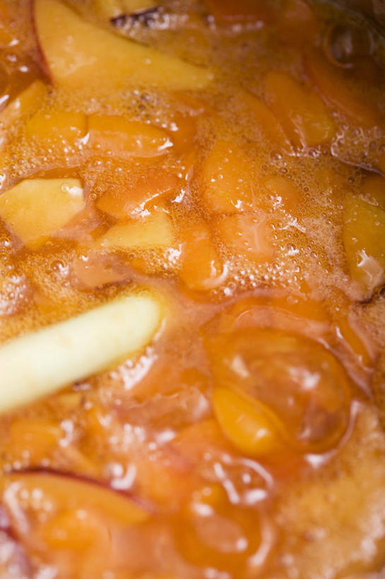 无人,竖图,俯视,室内,特写,白天,杏,水果,新鲜,勺子,调料,酱料,酱汁,生食,佐料,食品,果实,调味品,调味料,酱,食物,黄色,调羹,汤匙,果酱,有机食品,绿色食品,杏果,果子酱,杏酱,杏子,彩图,高角度拍摄