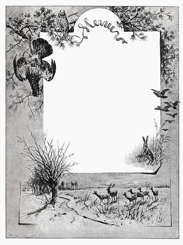 无人,竖图,俯视,室内,特写,白天,白色背景,植物,静物,阴影,花纹,装饰,反射,影子,树,树木,绿色,自然,摄影,影棚,生长,成长,华丽,修饰,点缀,请帖,衬托,美观,雅致,雅观,彩图,高角度拍摄,影棚拍摄,拍摄,请柬