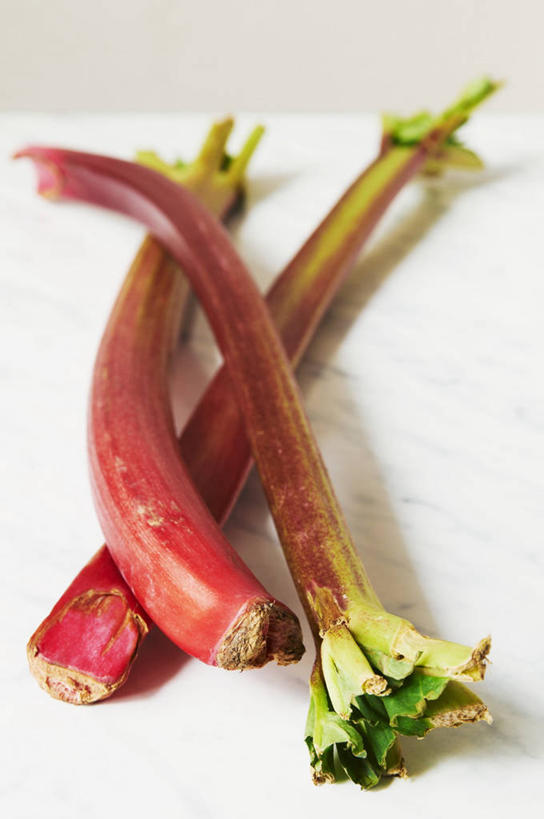 无人,竖图,俯视,室内,特写,白天,植物,桌面,桌子,阴影,反射,影子,大理石,草药,药草,中药,摄影,影棚,药材,中草药,大黄,中药材,本草,大理石制品,川军,蜀大黄,熟大黄,彩图,高角度拍摄,影棚拍摄,拍摄