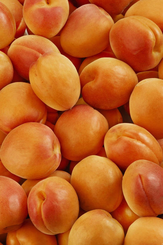 无人,竖图,俯视,室内,特写,白天,杏,水果,一堆,许多,阴影,堆叠,堆积,新鲜,反射,影子,生食,食品,果实,食物,黄色,摄影,有机食品,绿色食品,影棚,堆,杏果,杏子,彩图,高角度拍摄,影棚拍摄,拍摄