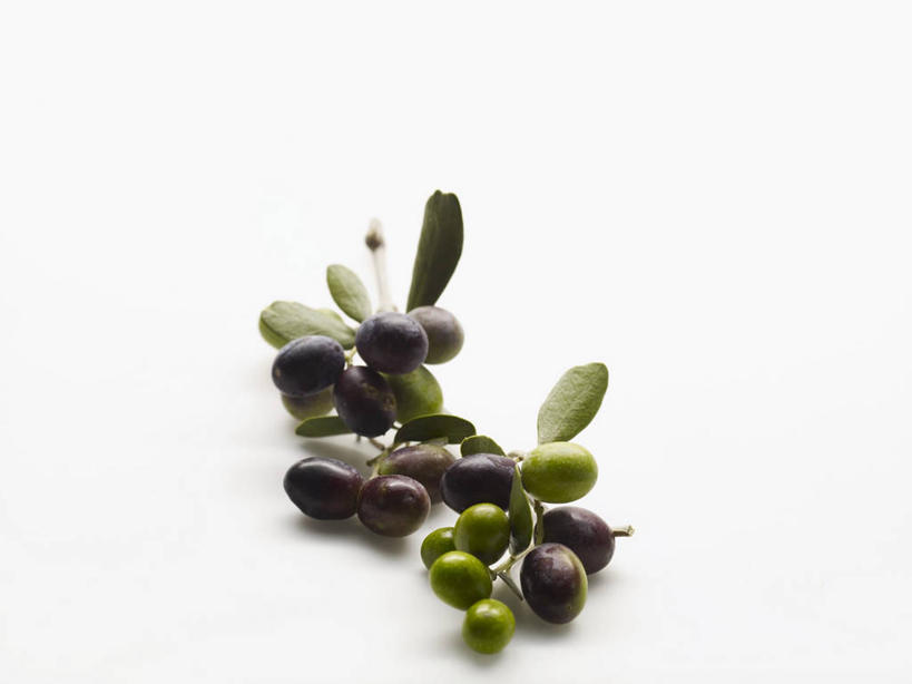 无人,横图,俯视,室内,特写,白天,白色背景,餐桌,桌子,橄榄,水果,一堆,许多,阴影,堆叠,堆积,新鲜,反射,影子,生食,食品,果实,食物,摄影,有机食品,绿色食品,影棚,餐台,堆,黑橄榄,乌橄榄,乌榄,油橄榄,青果,白榄,彩图,高角度拍摄,影棚拍摄,拍摄