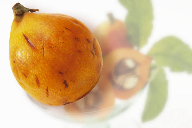 无人,横图,俯视,室内,特写,白天,白色背景,餐桌,桌子,枇杷,水果,阴影,朦胧,模糊,新鲜,反射,影子,生食,食品,果实,食物,一个,黄色,摄影,有机食品,绿色食品,影棚,单个,餐台,芦枝,芦橘,金丸,彩图,高角度拍摄,影棚拍摄,拍摄