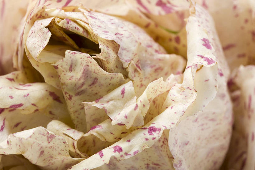 无人,横图,俯视,室内,特写,白天,餐桌,桌子,蔬菜,一堆,阴影,堆叠,堆积,新鲜,反射,影子,菊苣,生食,蔬菜沙拉,沙拉,食品,药草,色拉,沙律,食物,有机食品,绿色食品,餐台,色拉酱,堆,千岛酱,药材,彩图,高角度拍摄