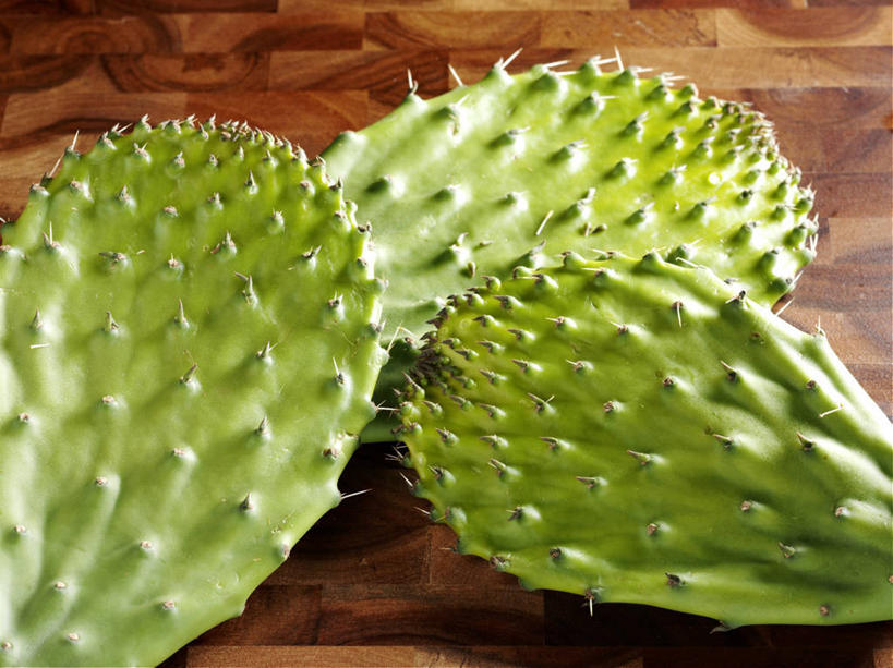 无人,横图,俯视,室内,特写,白天,植物,桌面,桌子,仙人掌,阴影,反射,木制,火焰,影子,草药,中药,三个,绿色,木制品,药材,中草药,中药材,本草,牛舌头,玉芙蓉,仙巴掌,火掌,霸王树,彩图,高角度拍摄