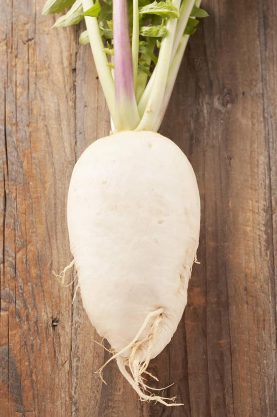 无人,竖图,俯视,室内,特写,白天,桌面,桌子,萝卜,白萝卜,蔬菜,阴影,新鲜,反射,木制,影子,食品,食物,一个,白色,木制品,有机食品,绿色食品,单个,莱菔,彩图,高角度拍摄