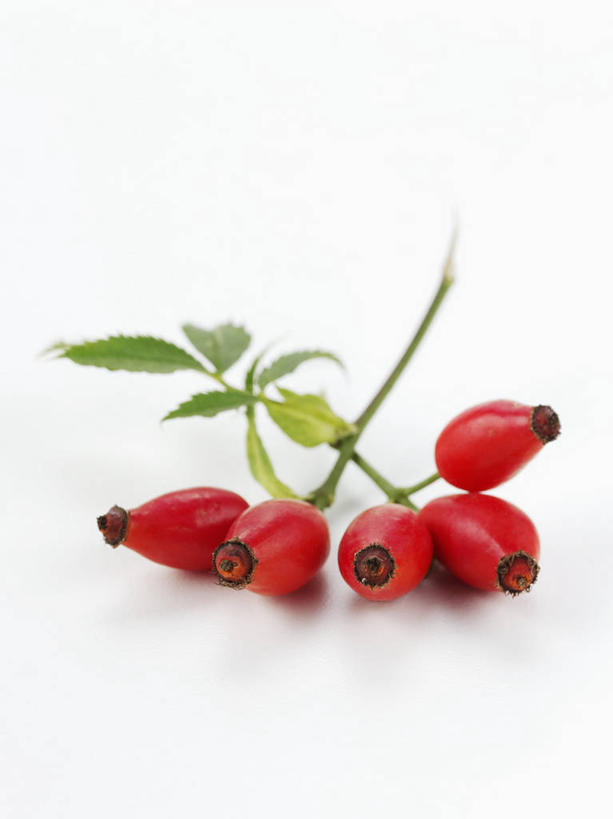 无人,竖图,俯视,室内,特写,白天,白色背景,餐桌,桌子,水果,叶子,阴影,新鲜,反射,影子,生食,食品,果实,绿叶,食物,红色,果肉,嫩叶,摄影,有机食品,绿色食品,影棚,餐台,蔷薇果,玫瑰果,五颗,叶,叶片,彩图,高角度拍摄,影棚拍摄,拍摄