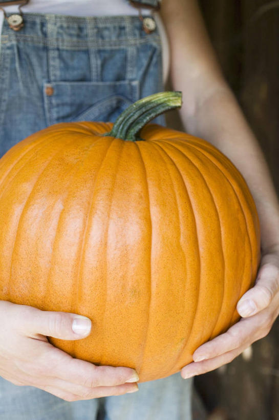 西方人,手,一个人,站,捧,竖图,室内,特写,白天,正面,南瓜,蔬菜,欧洲,欧洲人,双手,仅一个女性,仅一个人,服装,裤子,新鲜,金瓜,食品,休闲装,番瓜,食物,一个,衣服,站着,仅一个中年女性,休闲,手部,休闲服,橙色,背带裤,服饰,有机食品,绿色食品,单个,麦瓜,倭瓜,饭单裤,工装裤,女人,女性,中年女性,白种人,端,端着,捧着,手捧,站立,半身,彩图