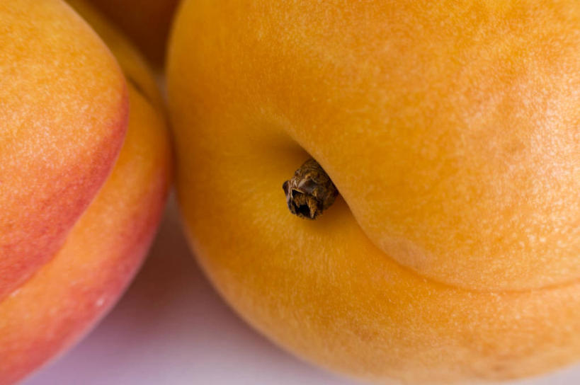 无人,横图,俯视,室内,特写,白天,餐桌,桌子,杏,水果,阴影,新鲜,反射,影子,生食,食品,果实,食物,两个,橙色,有机食品,绿色食品,餐台,杏果,杏子,彩图,高角度拍摄