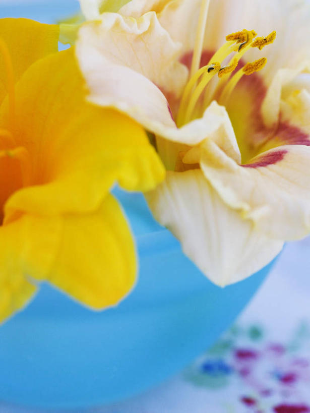 无人,竖图,俯视,室内,特写,白天,餐桌,桌子,萱草,阴影,朦胧,模糊,盛开,反射,影子,塑料,花蕾,花,花瓣,花朵,鲜花,两朵,蓝色,容器,塑料制品,碗,花苞,花蕊,摄影,影棚,餐台,储藏,储存,疗愁,萱草花,宜男,忘忧草,金针菜,黄花菜,彩图,高角度拍摄,影棚拍摄,拍摄,贮存