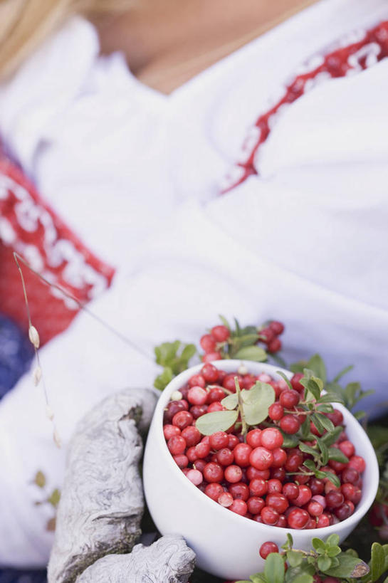 西方人,一个人,坐,竖图,俯视,室内,特写,白天,民族服装,水果,叶子,欧洲,欧洲人,仅一个年轻女性,仅一个女性,仅一个人,一堆,许多,阴影,堆叠,堆积,朦胧,模糊,新鲜,反射,影子,陶瓷,生食,食品,果实,绿叶,陶瓷制品,食物,容器,碗,嫩叶,有机食品,绿色食品,储藏,堆,储存,温普,牙疙瘩,越橘,年轻女性,女人,女性,白种人,叶,叶片,坐着,半身,彩图,高角度拍摄,传统服装,民俗服,贮存