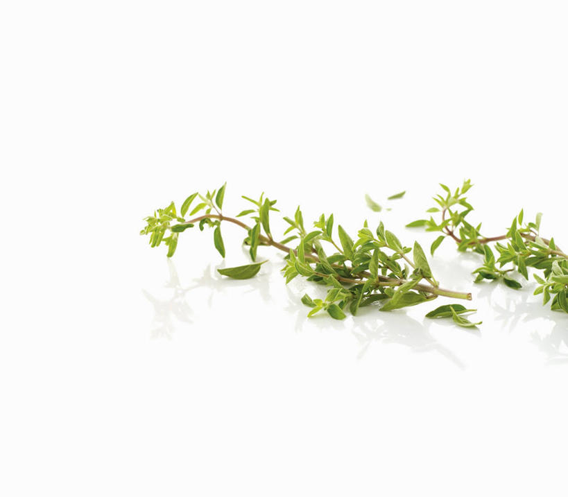 无人,横图,俯视,室内,特写,白天,白色背景,植物,桌面,桌子,叶子,阴影,反射,木制,纹理,影子,绿叶,绿色,木制品,嫩叶,摄影,影棚,牛至,滇香蕾,土香薷,肌理,荆芥,香薷,奥勒冈草,白花土荆芥,白花茵陈,川香薷,俄力冈叶,减脂叶,满山香,蘑菇草,披萨草,银薄荷,止痢草,叶,叶片,叶脉,彩图,高角度拍摄,影棚拍摄,拍摄